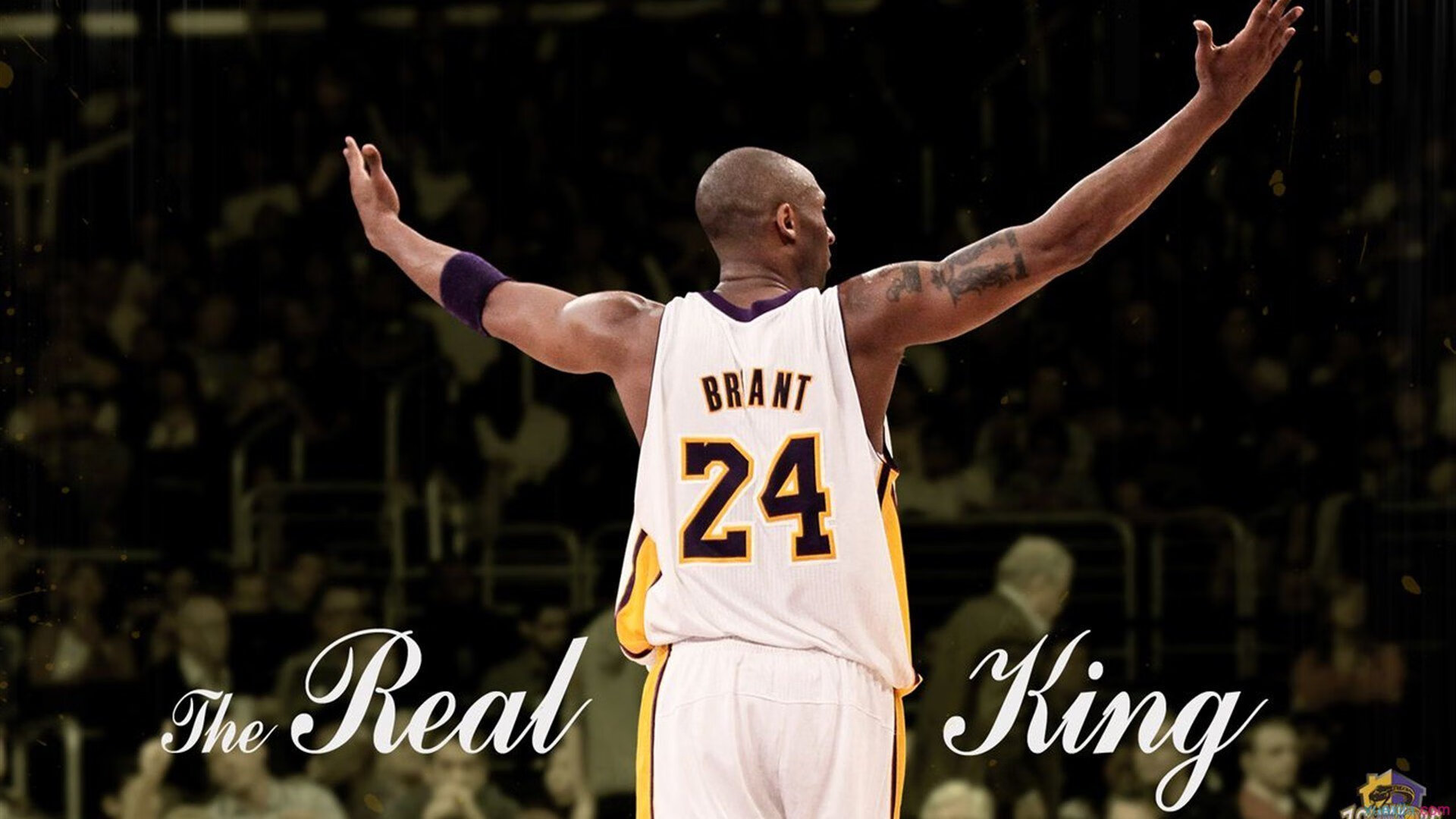 开云体育下载-红土奇迹,穆雷蒙特卡洛轻取法网冠军,一场颠覆预期的统治秀